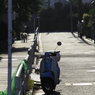 光る道