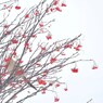 Winter scenery　１
