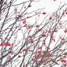 Winter scenery　４