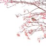 紅の哲学