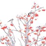 Small birds gathering around the red fru