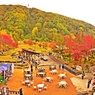 紅葉を見に行こうよう(*´з`)～其の四