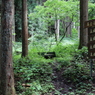 高倉砂防堰堤探検記－再び立成谷の入口へ－