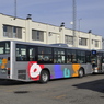 新型車両デビュー、前の休日（2013年）