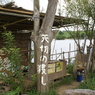 矢切の渡し
