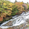 渓流沿いの紅葉