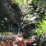 水