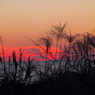 夕暮れ