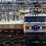 2015/02/15/EF510-509(カシ釜)/カシオペア正調編成下り　大宮