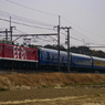 2015/02/17/EF81-95(レインボー) 黒磯訓練 ヒガハスにて