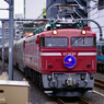 2015/03/03/EF81-81(パーイチ)/カシオペア(上り) 浦和にて