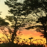 夕景かがみ越し