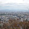 円山山頂より札幌