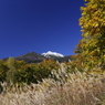 遠峰