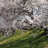 木曽川堤防2