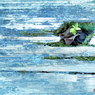 侵蝕 -蒼-