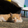 眠いの・・・
