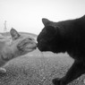 道で会ったら、挨拶をしよう