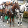 馬車