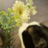 香り