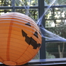 IMG0012