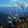 高原の秋