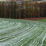 雪模様