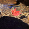 終焉　水の中