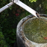侘び寂び