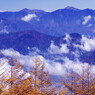 秋を探して　南アルプス連峰