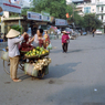 Hanoi Fruits Seller 01