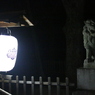漂う　その12