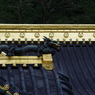 右向龍