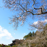 秋晴れ