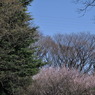 3分割法