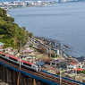 相模湾を背景にマリンエクスプレス