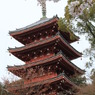 高知県・五台山・五重塔