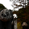 太陽公園2015.11.01 13