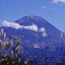 秋を探して　富士山とススキ