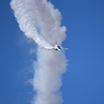 入間基地航空祭　2015(7)
