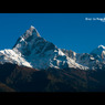 Ever in Nepal