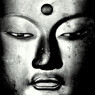 慈悲の眼差し