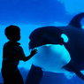 名古屋港水族館　シャチと子供