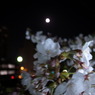Full moon