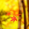 名もなき・・・V