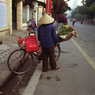 Hanoi Flower Seller 01