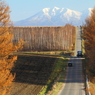 農村のアップダウン道路(続)