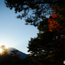 夕景の富士山と紅葉