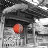 長谷寺門