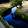 小川と散歩道